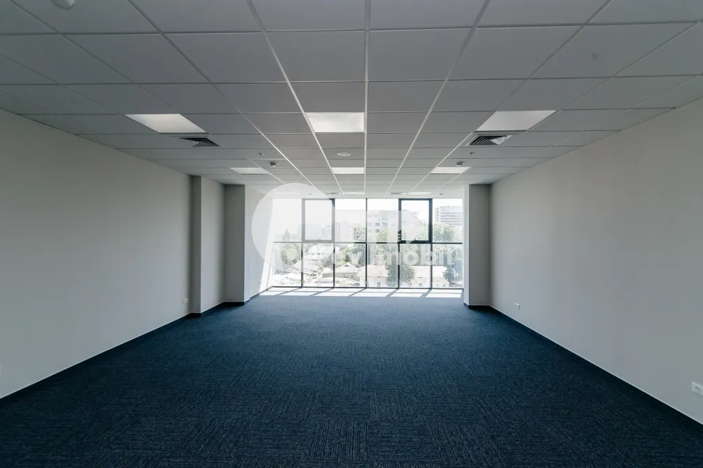 Oficiu, Centru, ȘTEFAN CEL MARE