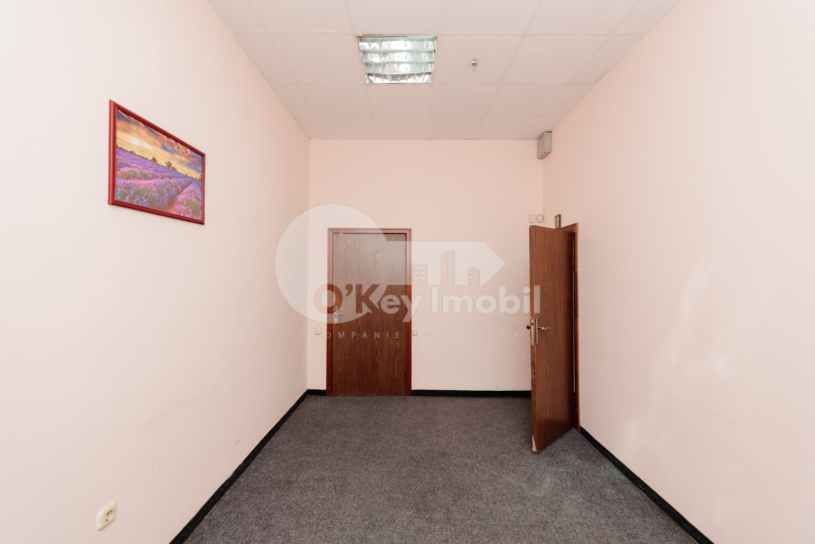 Oficiu, Centru, COLUMNA