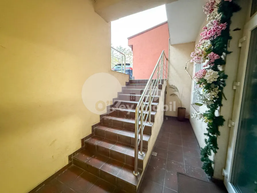 Офис, Рышкановка, РЕНАШТЕРИЙ