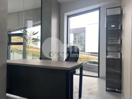 Офис, Чеканы, МИЛЕСКУ СПЭТАРУ