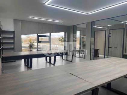 Офис, Чеканы, МИЛЕСКУ СПЭТАРУ