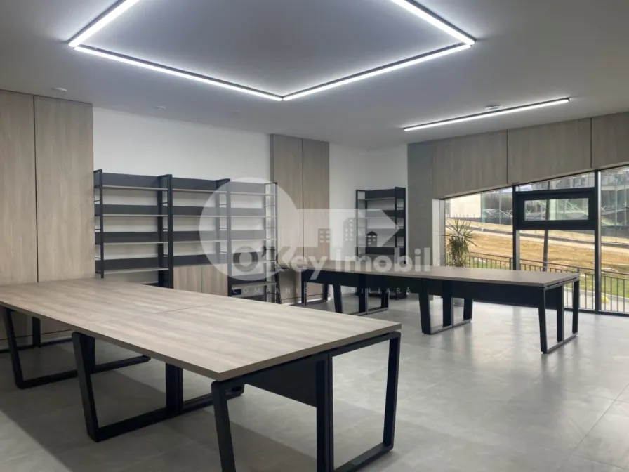 Офис, Чеканы, МИЛЕСКУ СПЭТАРУ