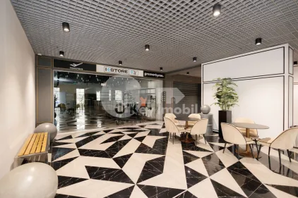 Комм. помещение, Рышкановка, БОГДАН ВОЕВОД