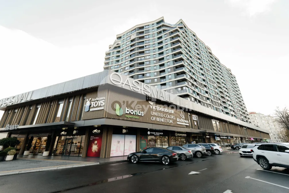 Комм. помещение, Рышкановка, БОГДАН ВОЕВОД