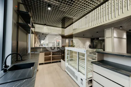 Комм. помещение, Рышкановка, БОГДАН ВОЕВОД