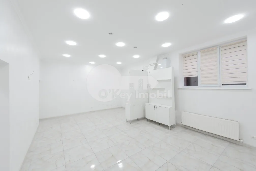 Комм. помещение, Ботаника, НИКОЛАЙ ЗЕЛИНСКИЙ