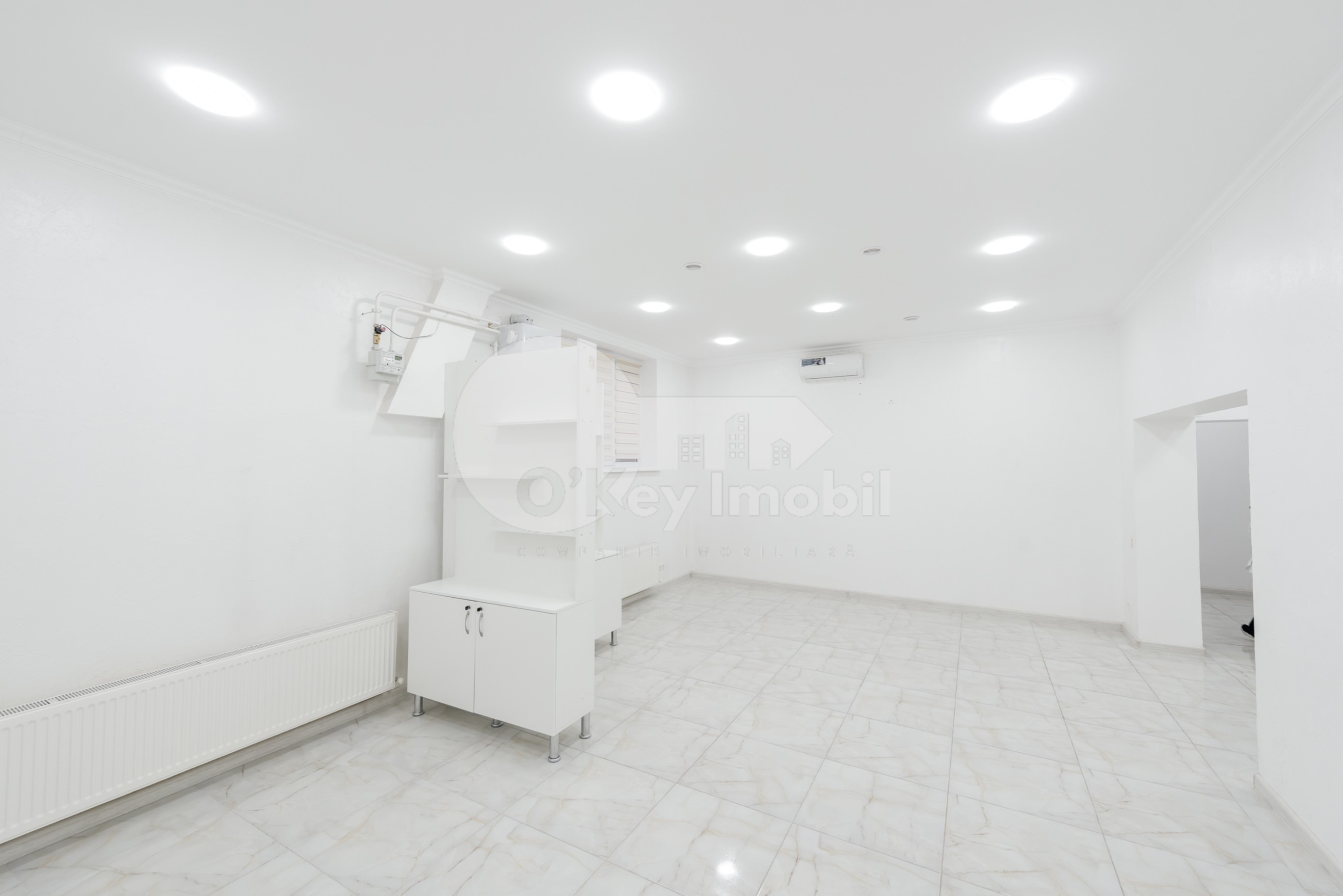 Spațiu comercial, Botanica, NIKOLAI ZELINSKI