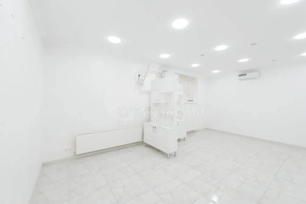 Комм. помещение, Ботаника, НИКОЛАЙ ЗЕЛИНСКИЙ