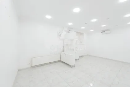 Комм. помещение, Ботаника, НИКОЛАЙ ЗЕЛИНСКИЙ