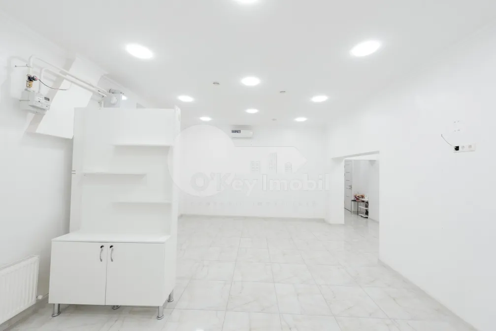 Комм. помещение, Ботаника, НИКОЛАЙ ЗЕЛИНСКИЙ