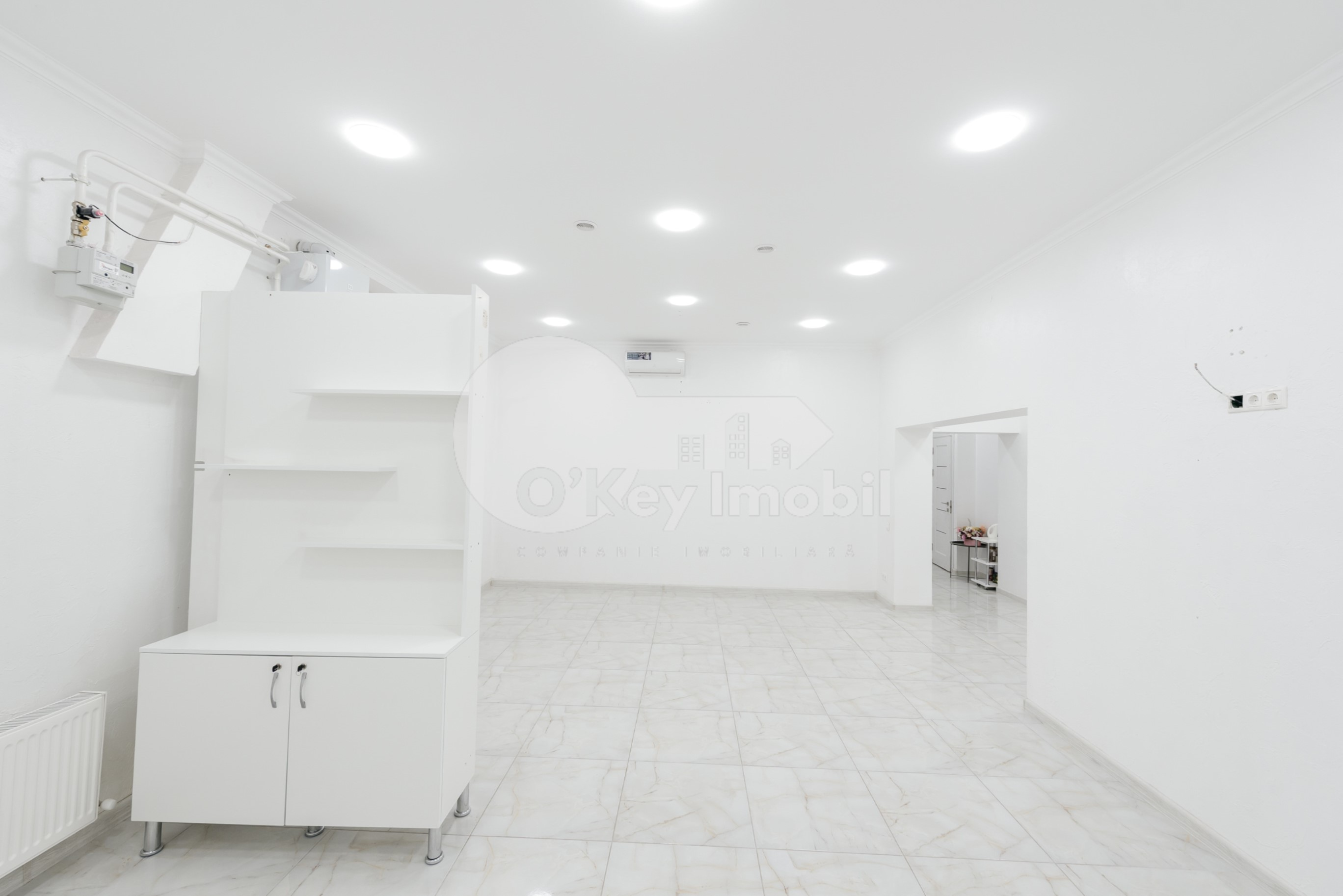 Spațiu comercial, Botanica, NIKOLAI ZELINSKI