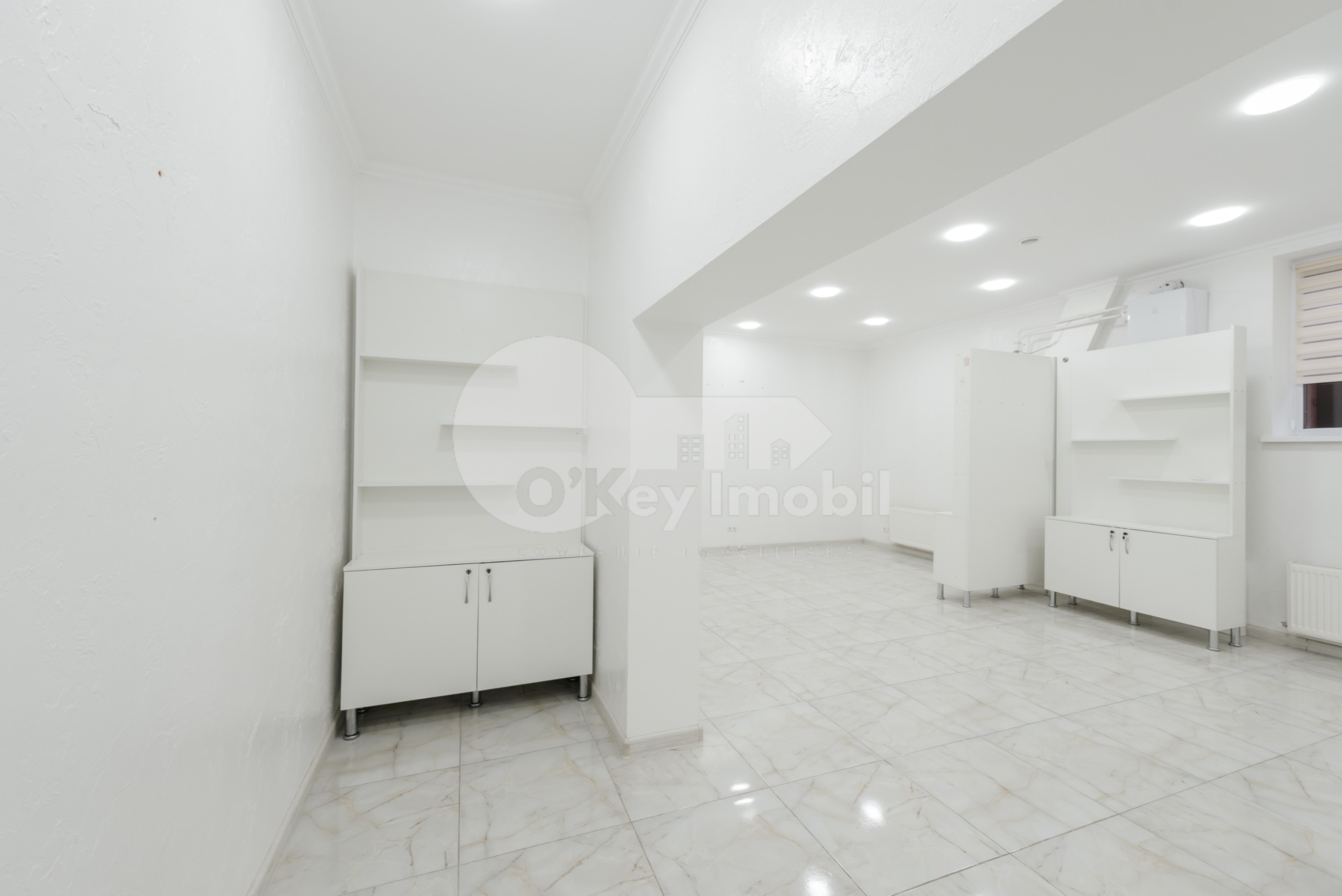 Spațiu comercial, Botanica, NIKOLAI ZELINSKI