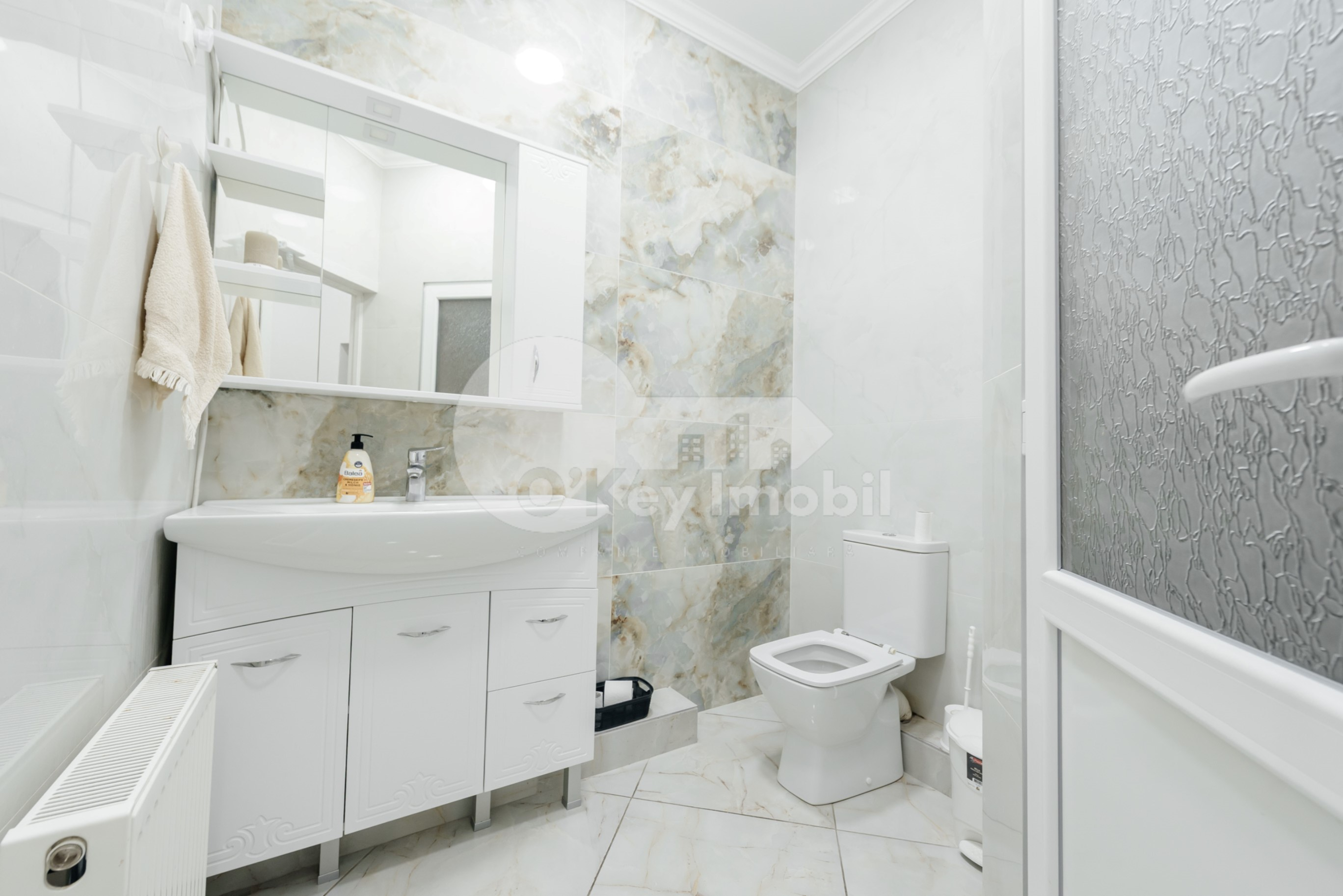 Spațiu comercial, Botanica, NIKOLAI ZELINSKI