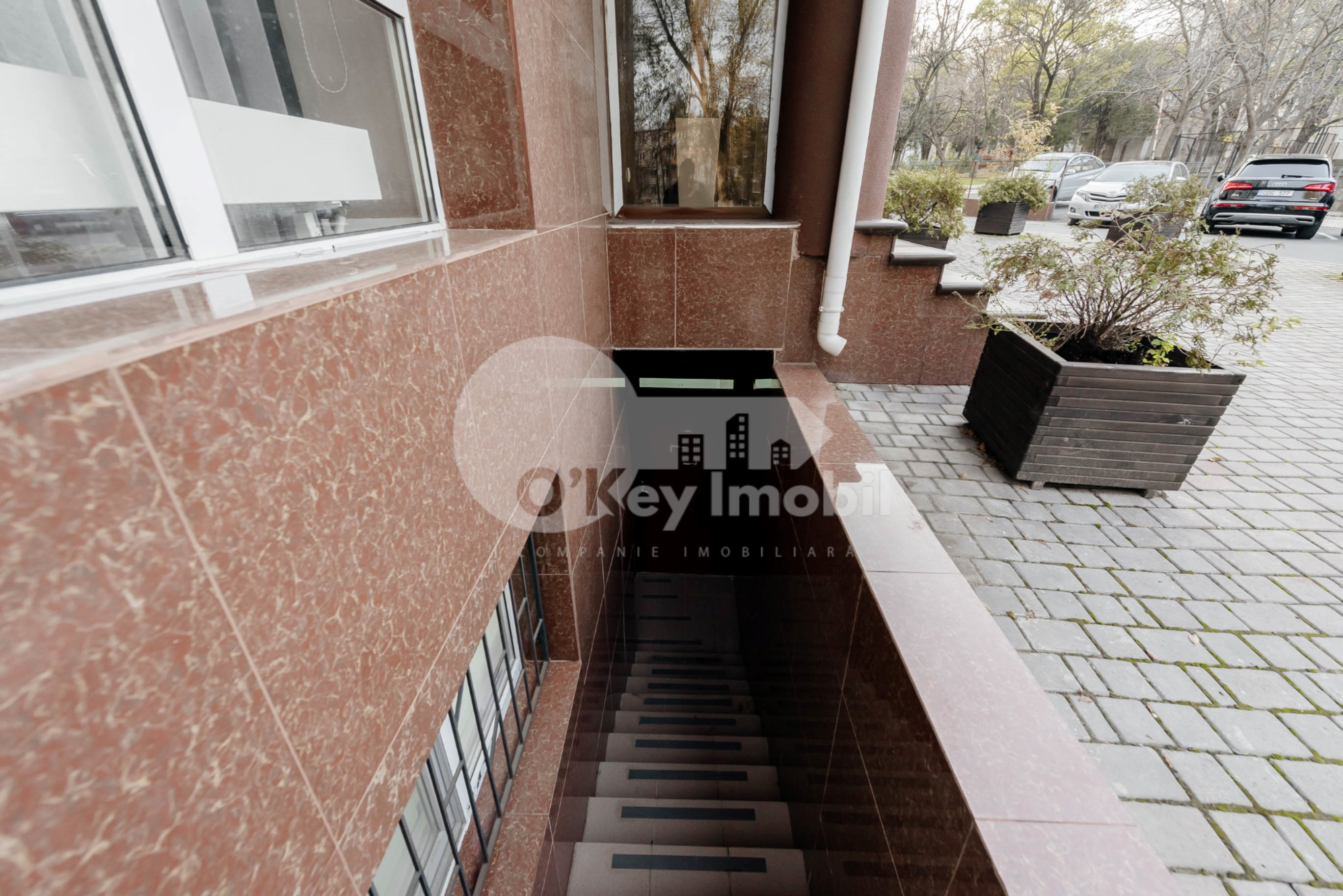 Spațiu comercial, Botanica, NIKOLAI ZELINSKI