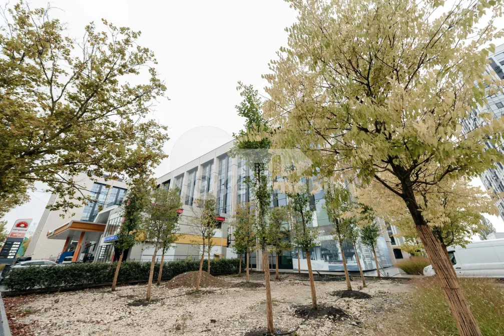 Офис, Буюканы, КАЛЯ ЕШИЛОР