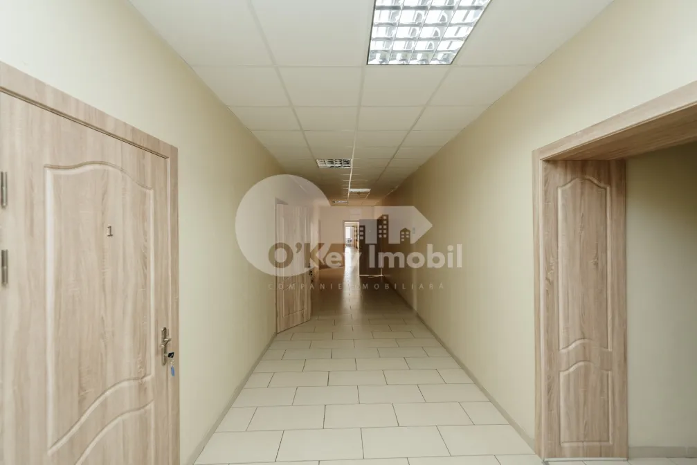 Офис, Центр, БЭНУЛЕСКУ БОДОНИ