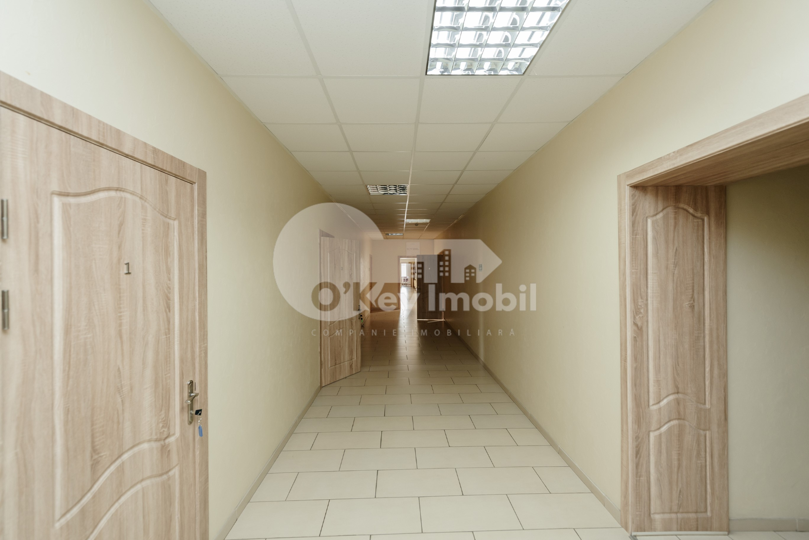 Oficiu, Centru, BĂNULESCU BODONI