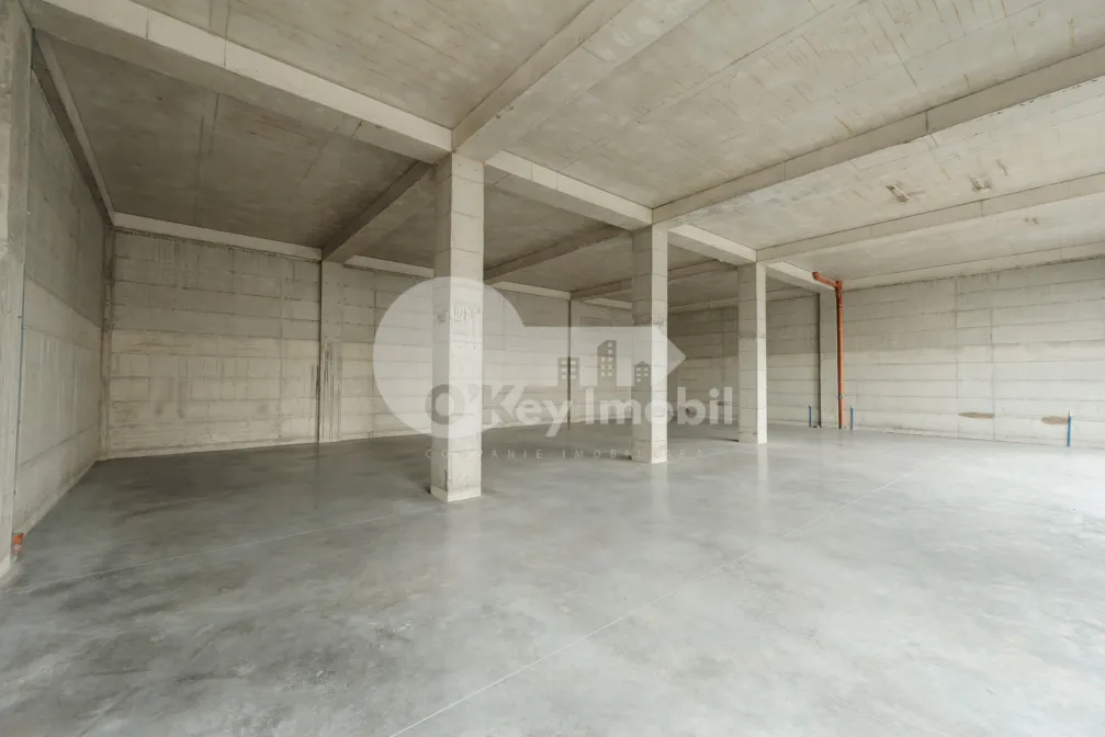 Комм. помещение, Рышкановка, ПЕТРИКАНЬ