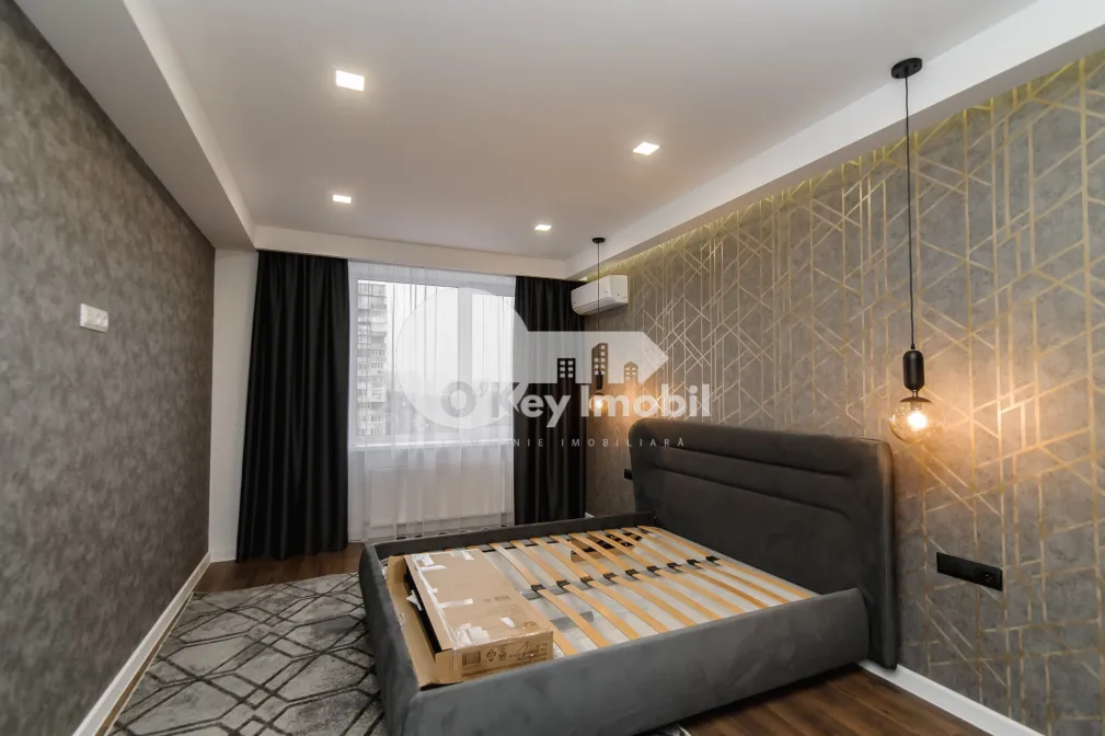 Квартира, Ботаника, ТРАНДАФИРИЛОР