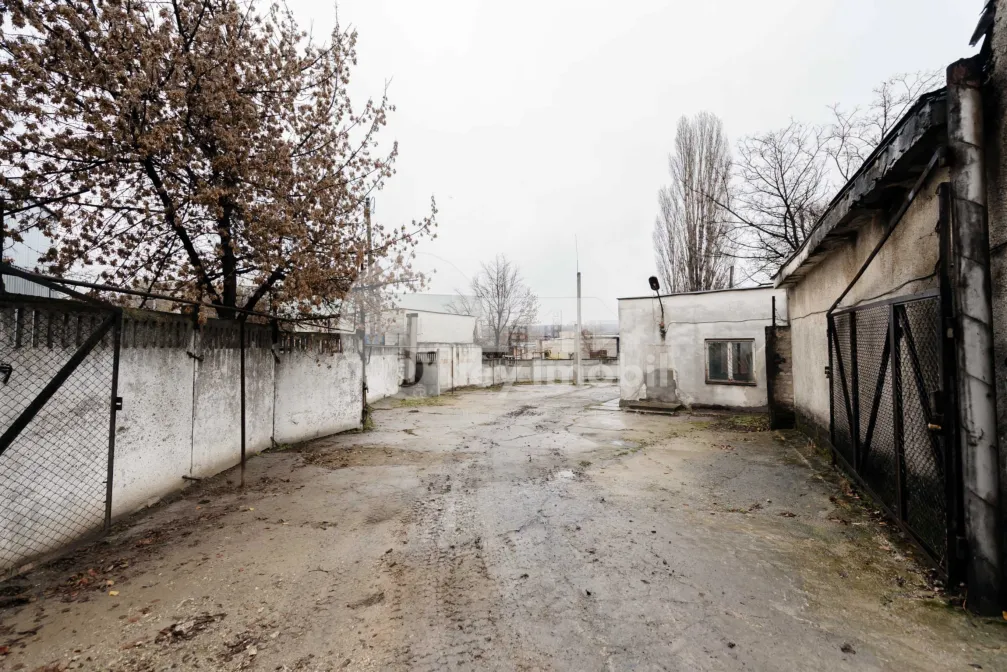 Офис, Буюканы, БУКУРИЕЙ