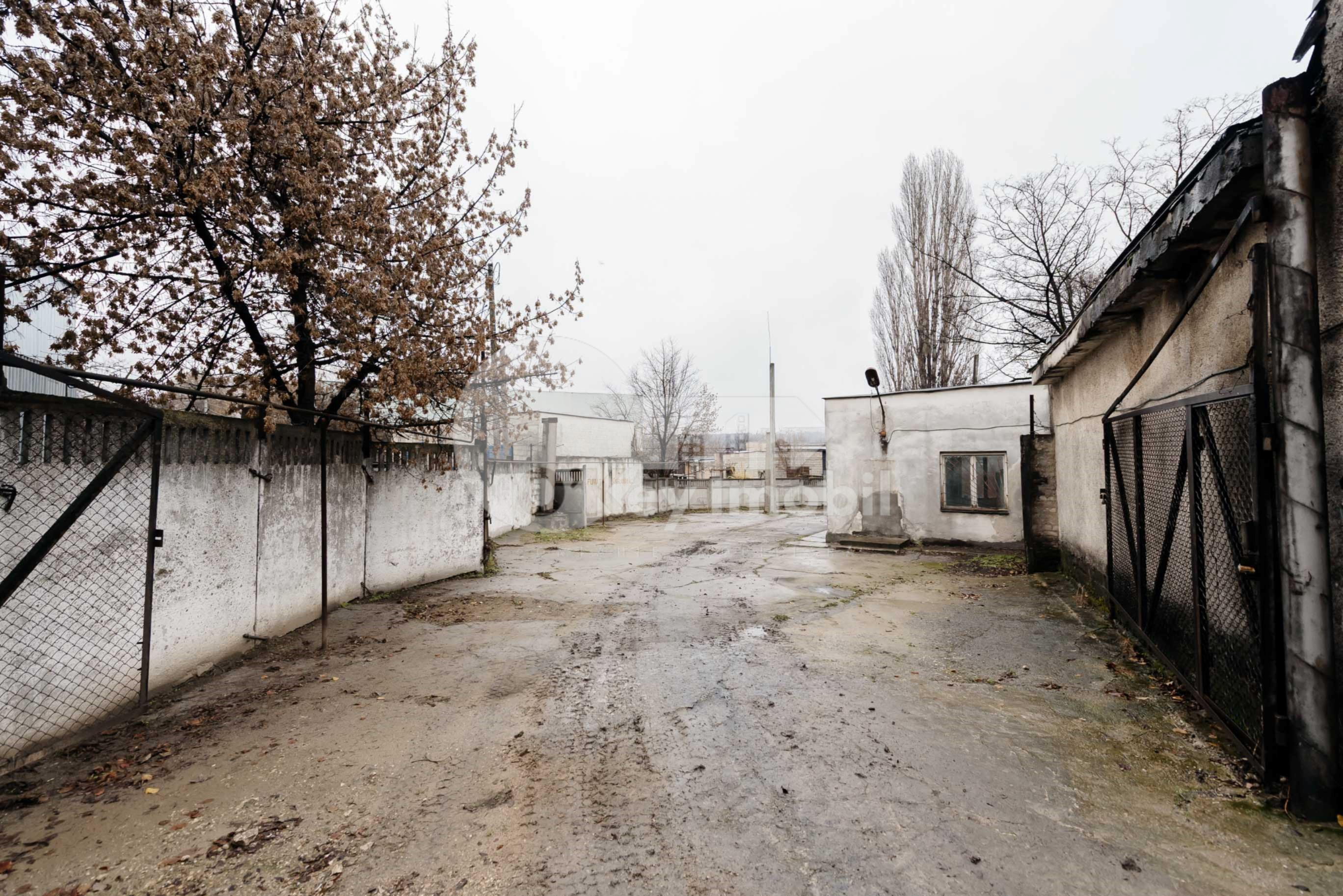 Oficiu, Buiucani, BUCURIEI