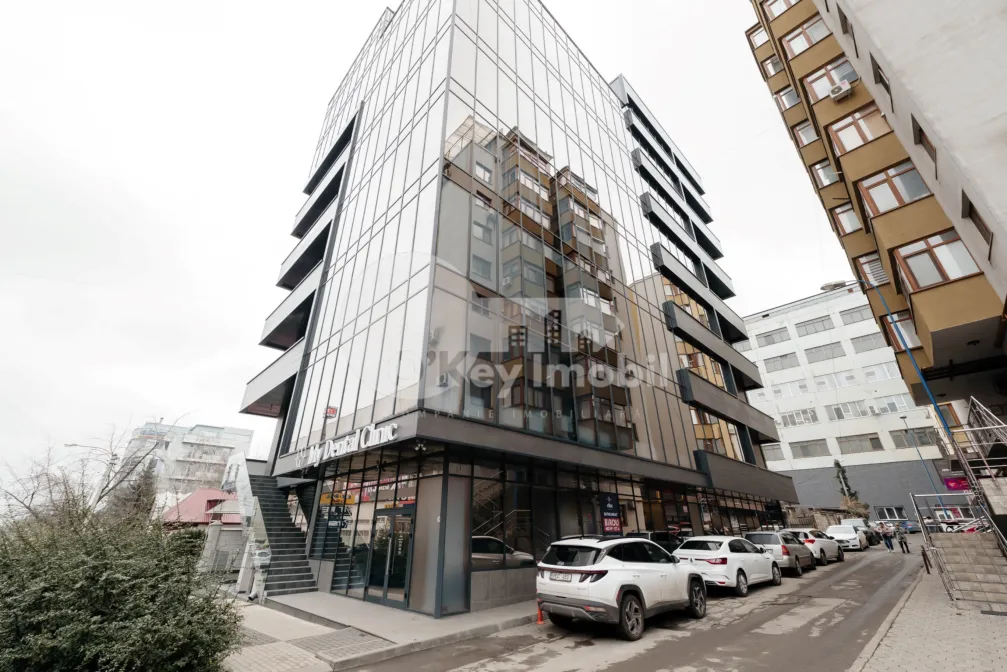 Офис, Ботаника, КОНСТАНТИН БРЫНКУШ