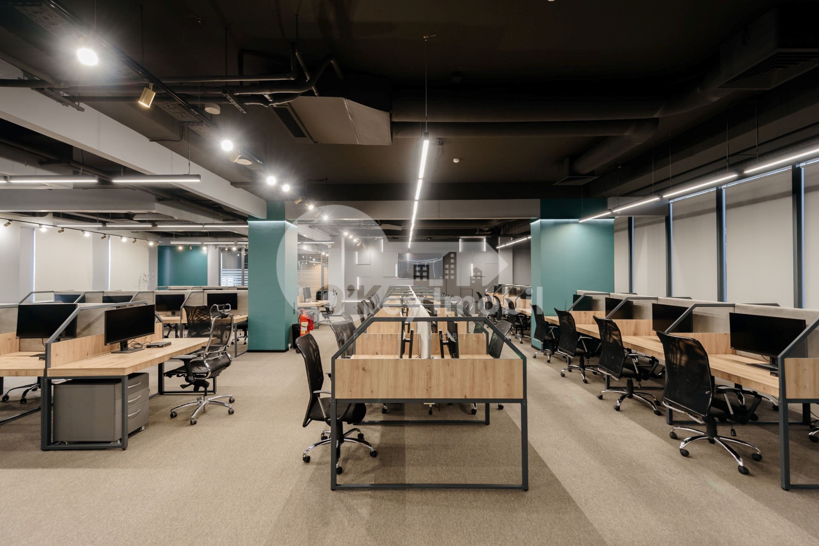 Oficiu, Botanica, CONSTANTIN BRÂNCUȘI