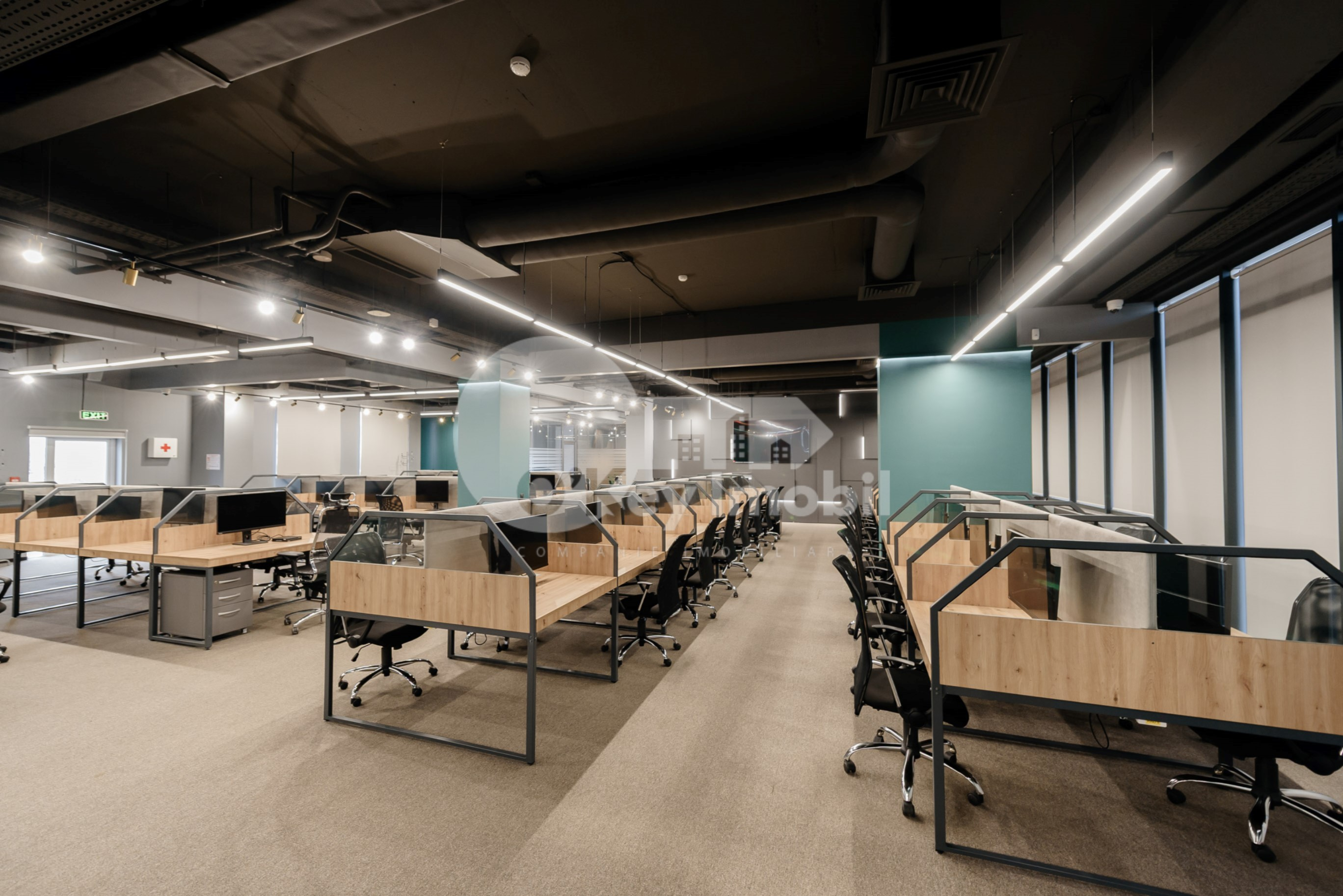 Oficiu, Botanica, CONSTANTIN BRÂNCUȘI