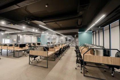 Офис, Ботаника, КОНСТАНТИН БРЫНКУШ