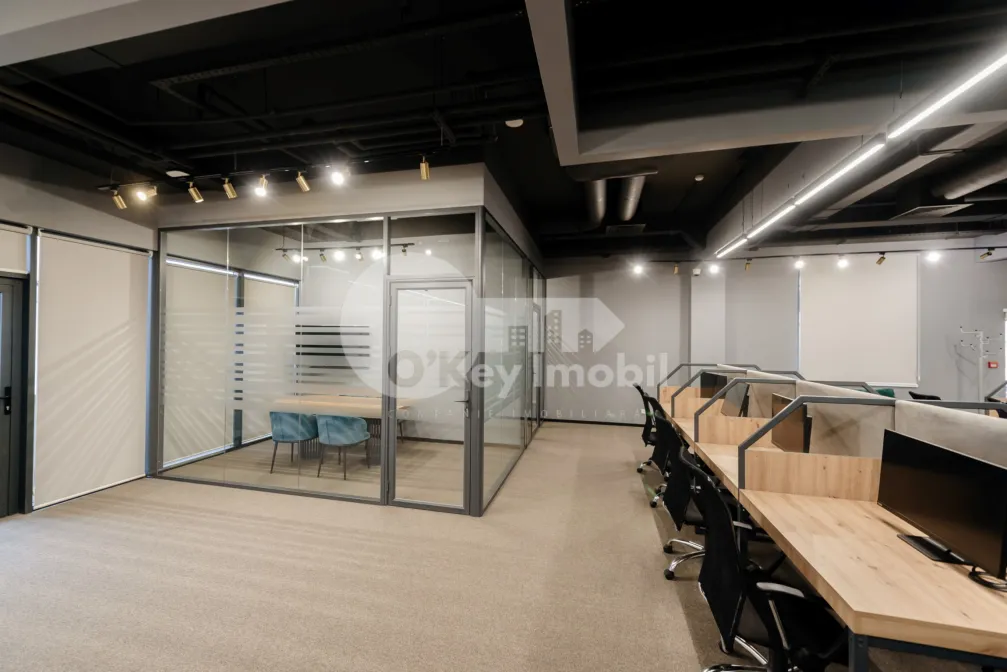 Офис, Ботаника, КОНСТАНТИН БРЫНКУШ