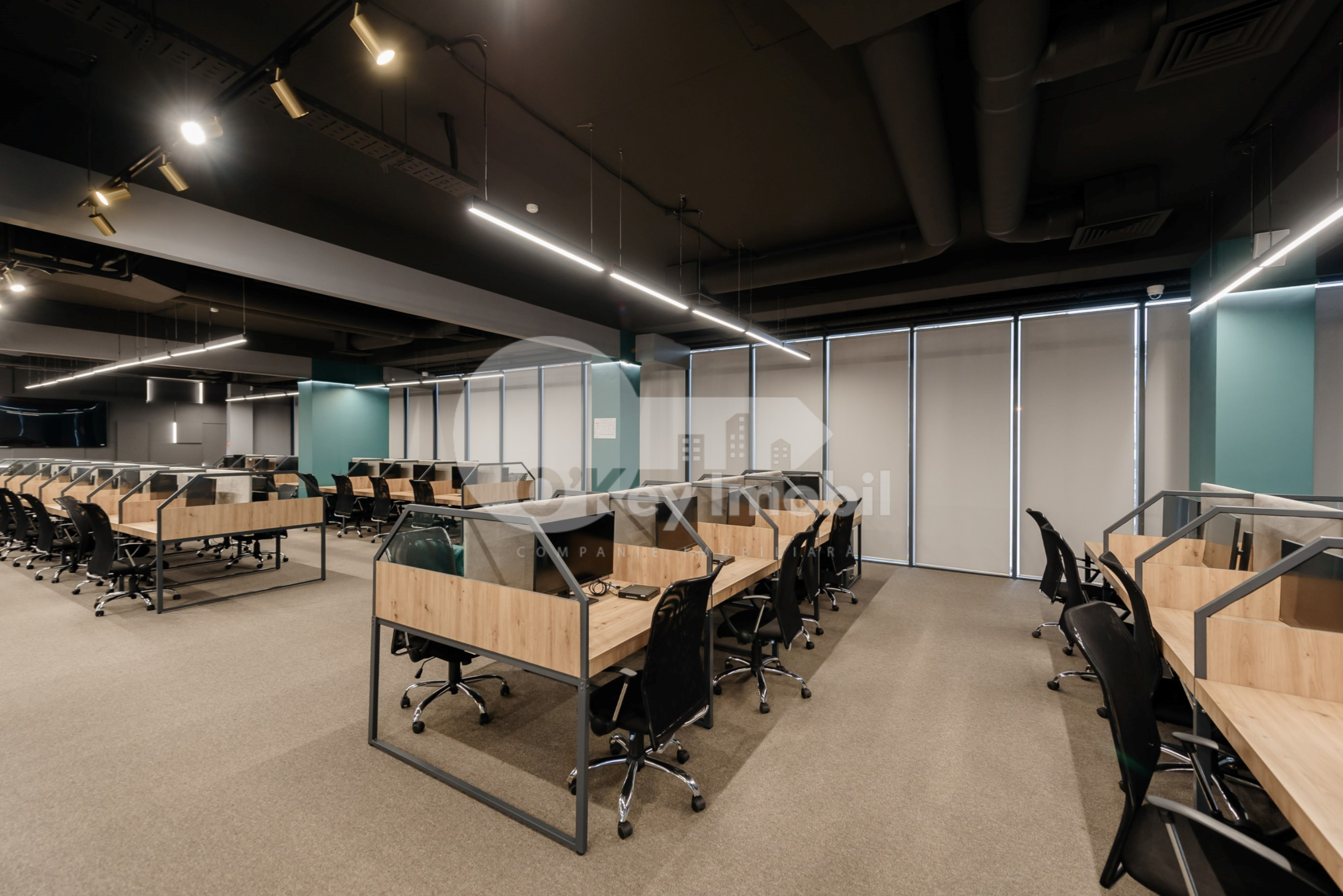 Oficiu, Botanica, CONSTANTIN BRÂNCUȘI