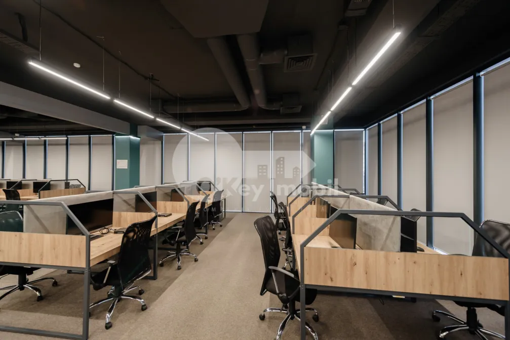 Офис, Ботаника, КОНСТАНТИН БРЫНКУШ