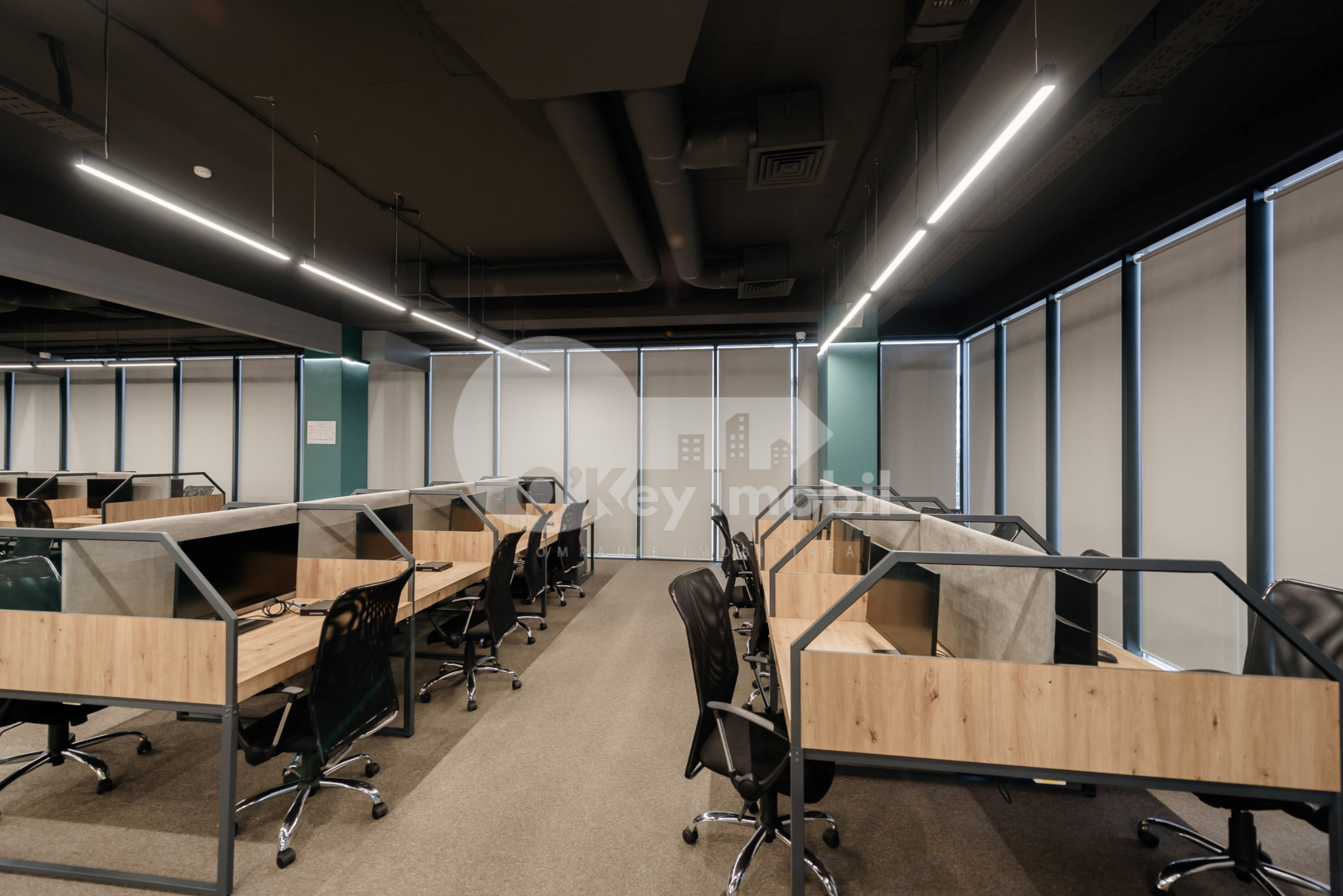 Oficiu, Botanica, CONSTANTIN BRÂNCUȘI