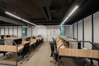 Офис, Ботаника, КОНСТАНТИН БРЫНКУШ