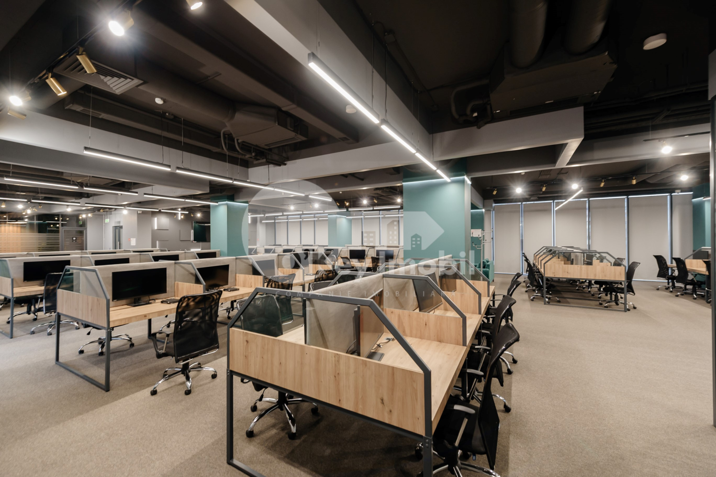 Oficiu, Botanica, CONSTANTIN BRÂNCUȘI