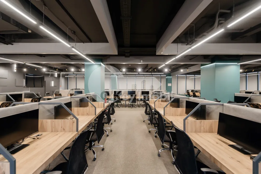 Офис, Ботаника, КОНСТАНТИН БРЫНКУШ