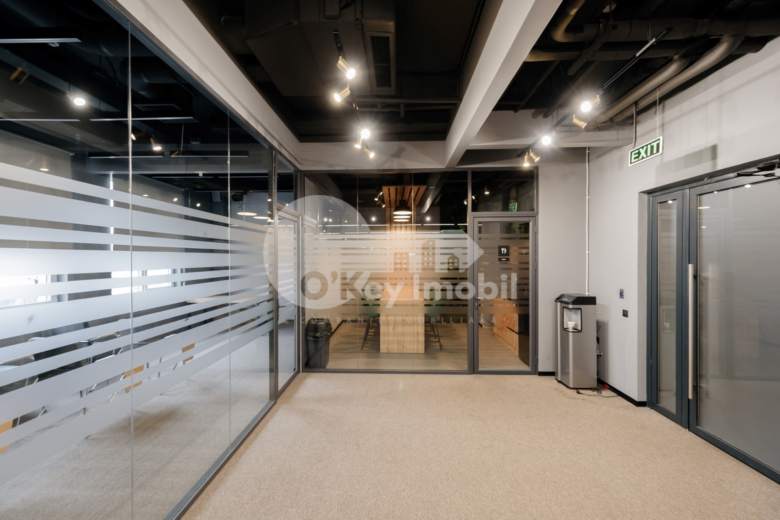 Oficiu, Botanica, CONSTANTIN BRÂNCUȘI