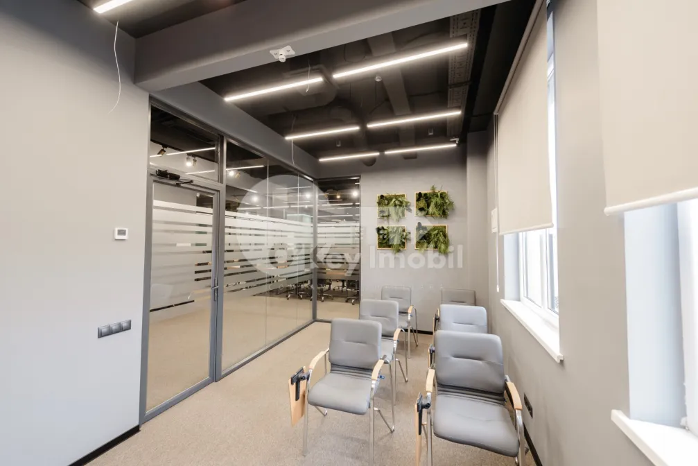 Офис, Ботаника, КОНСТАНТИН БРЫНКУШ