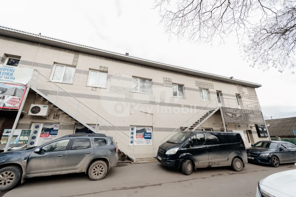 Офис, Ботаника, МУНЧЕШТЬ