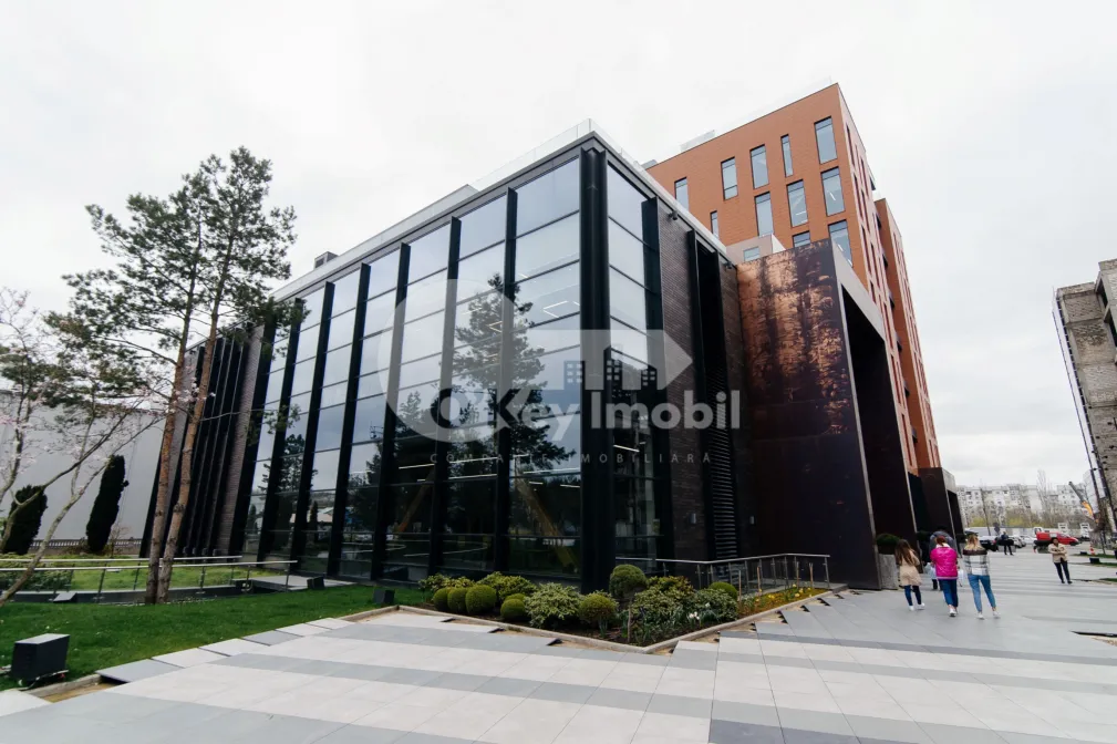 Oficiu, Centru, MIHAI VITEAZUL