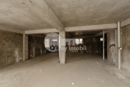 Комм. помещение, Чеканы, МИЛЕСКУ СПЭТАРУ