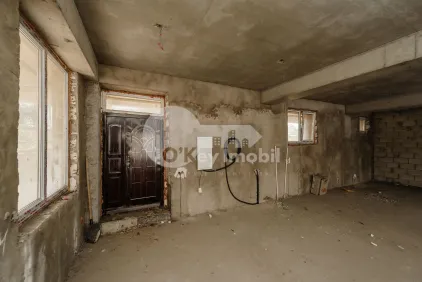 Комм. помещение, Чеканы, МИЛЕСКУ СПЭТАРУ