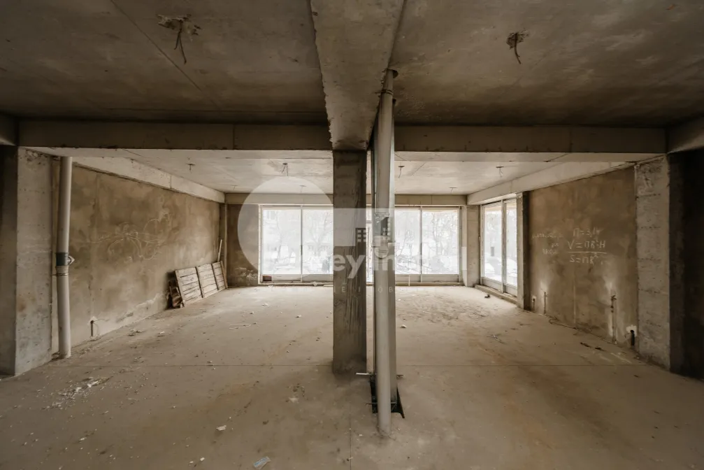 Комм. помещение, Чеканы, МИЛЕСКУ СПЭТАРУ