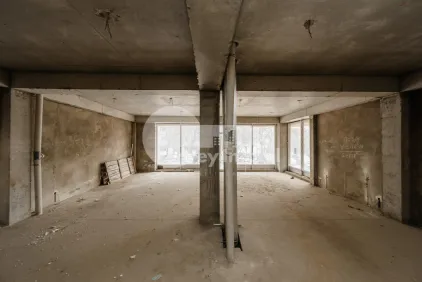 Комм. помещение, Чеканы, МИЛЕСКУ СПЭТАРУ