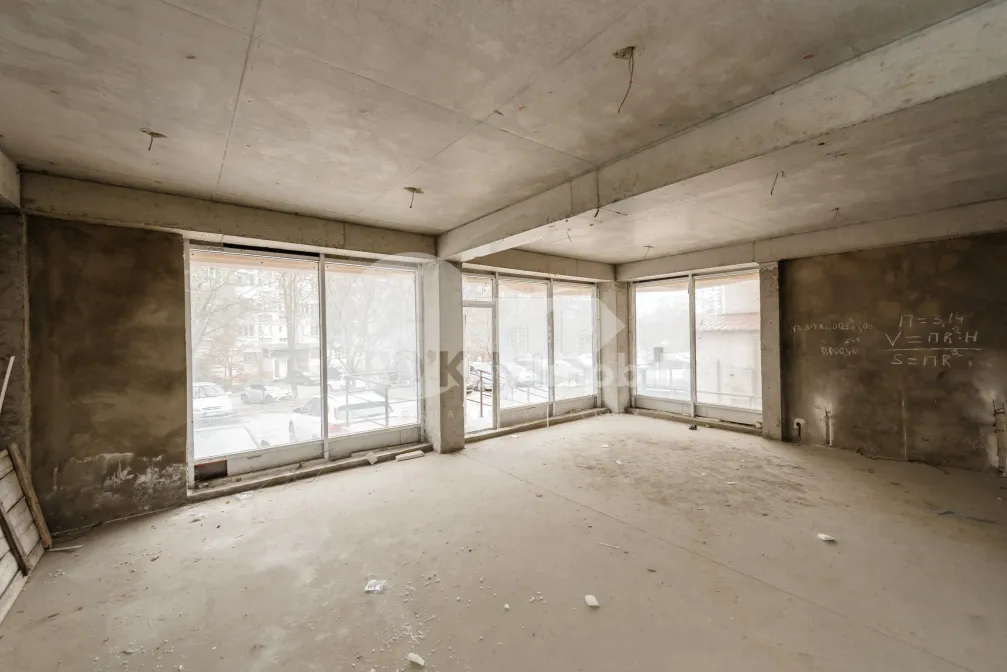 Комм. помещение, Чеканы, МИЛЕСКУ СПЭТАРУ