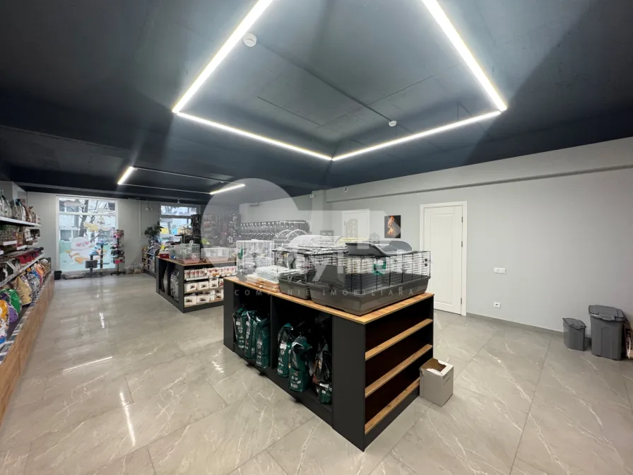 Комм. помещение, Центр, АЛБИШОАРА