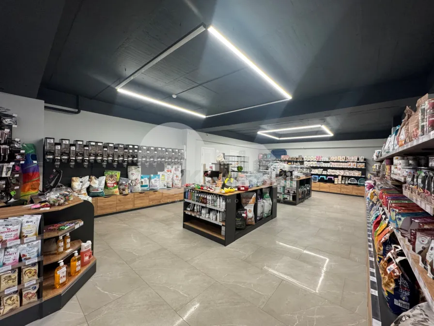 Комм. помещение, Центр, АЛБИШОАРА