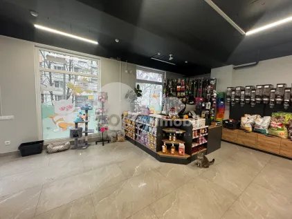 Комм. помещение, Центр, АЛБИШОАРА