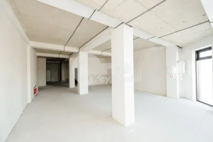 Комм. помещение, Ботаника, ДЕЧЕБАЛ