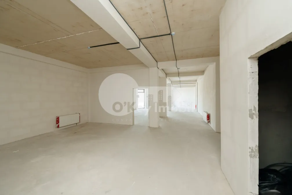 Комм. помещение, Ботаника, ДЕЧЕБАЛ